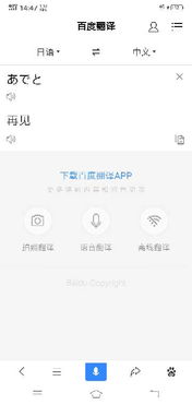 日語(yǔ)翻譯服務(wù)